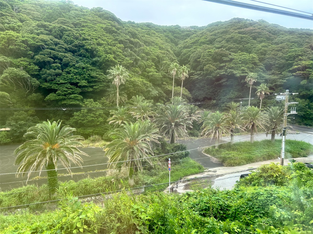 f:id:Shinjuku_3chome:20240718150508j:image