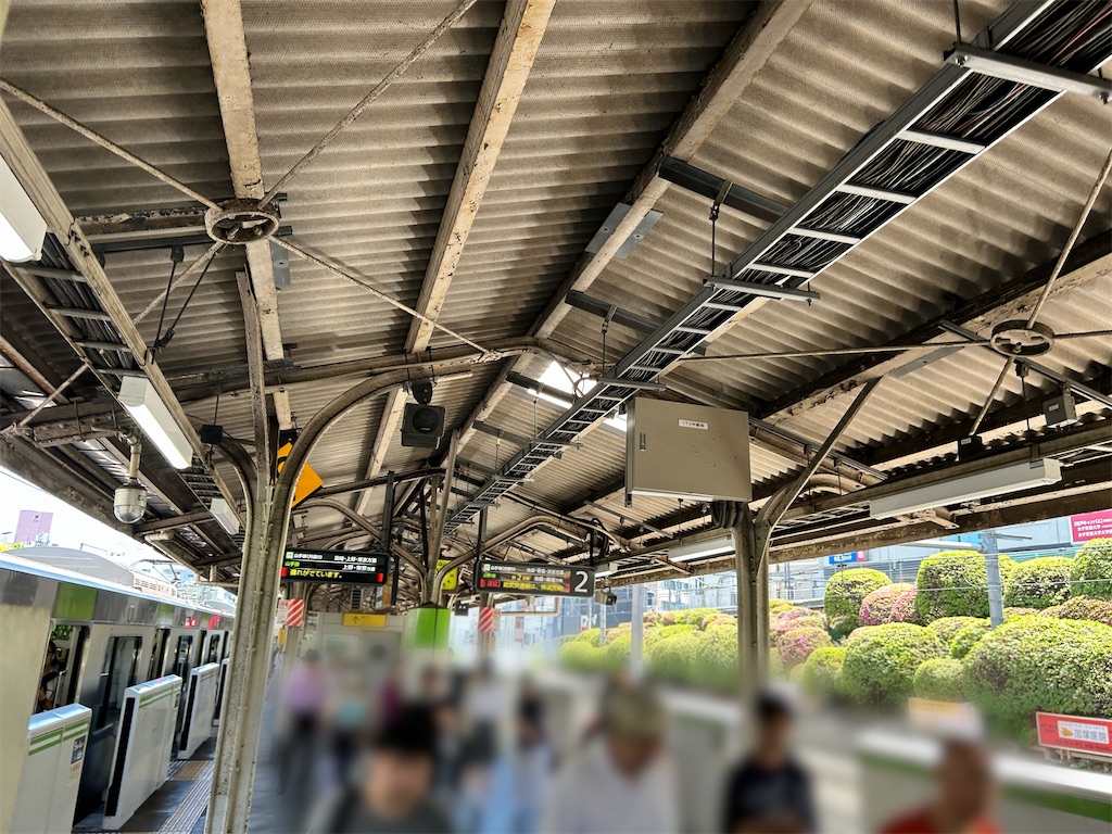 f:id:Shinjuku_3chome:20240720155126j:image