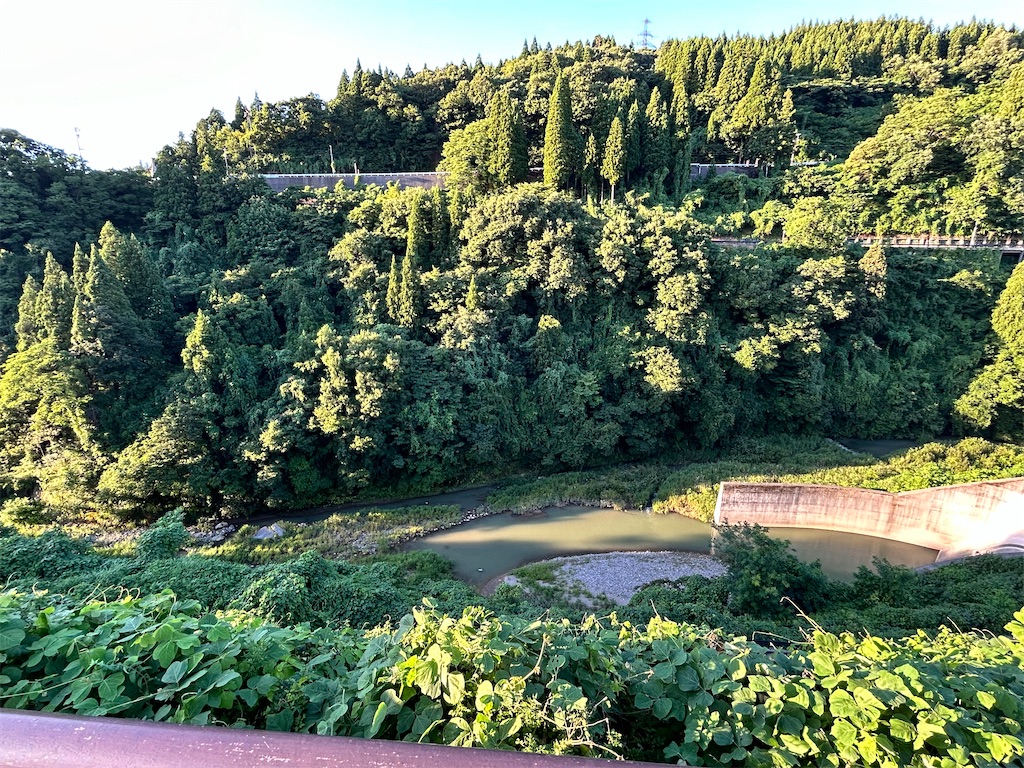 f:id:Shinjuku_3chome:20240729025602j:image