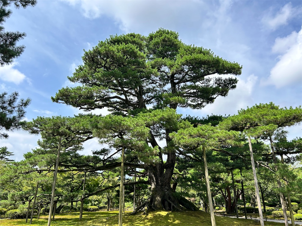 f:id:Shinjuku_3chome:20240811181116j:image