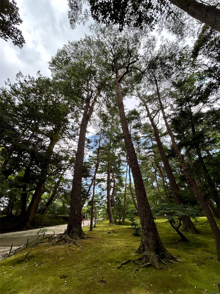 f:id:Shinjuku_3chome:20240812005316j:image