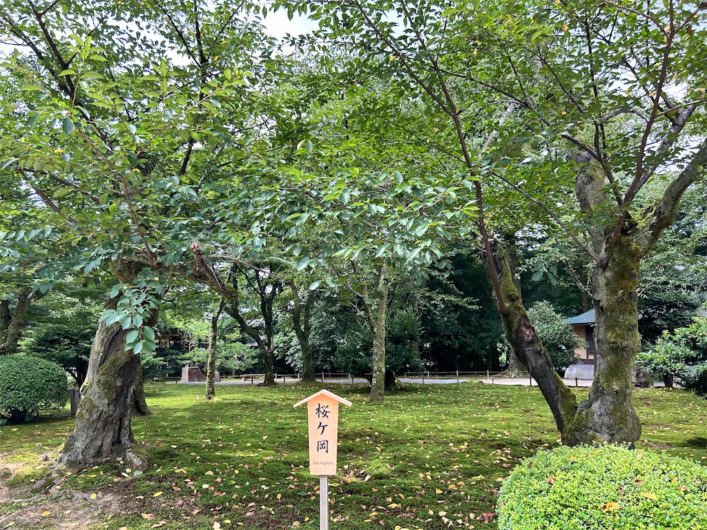 f:id:Shinjuku_3chome:20240812010718j:image