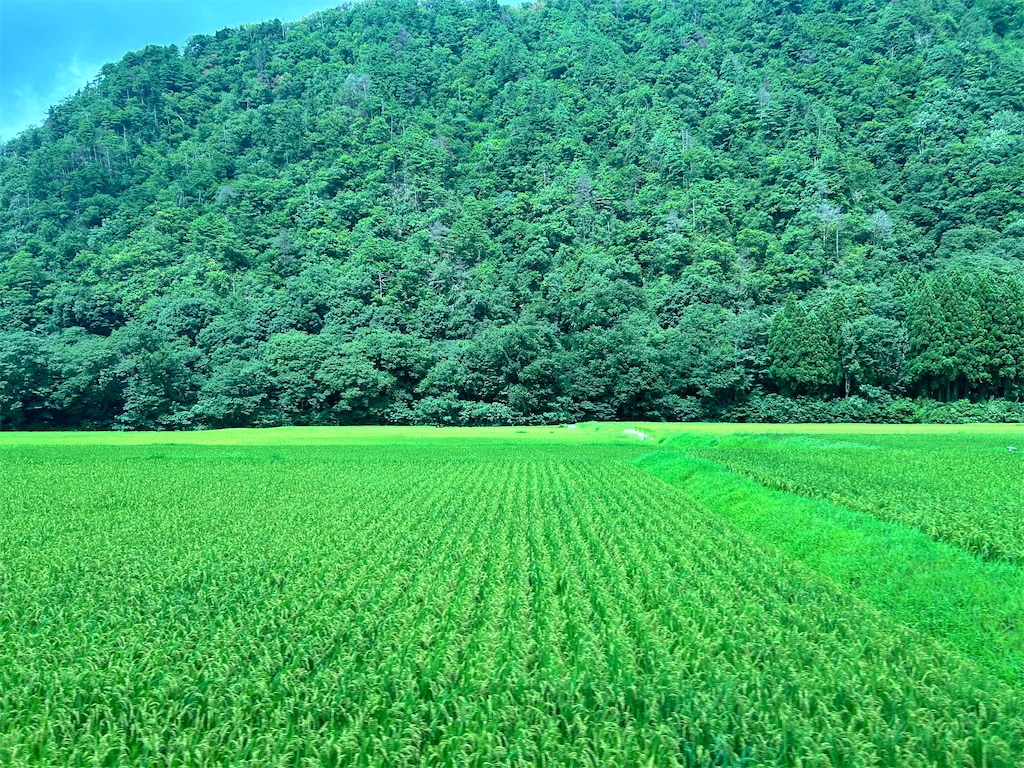 f:id:Shinjuku_3chome:20240812145826j:image