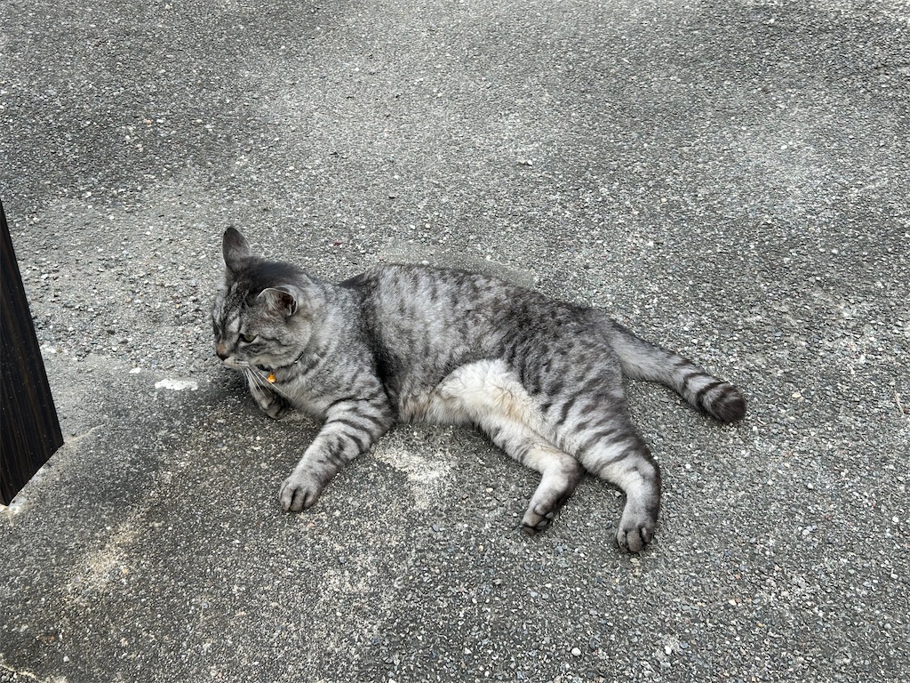 f:id:Shinjuku_3chome:20240812155000j:image