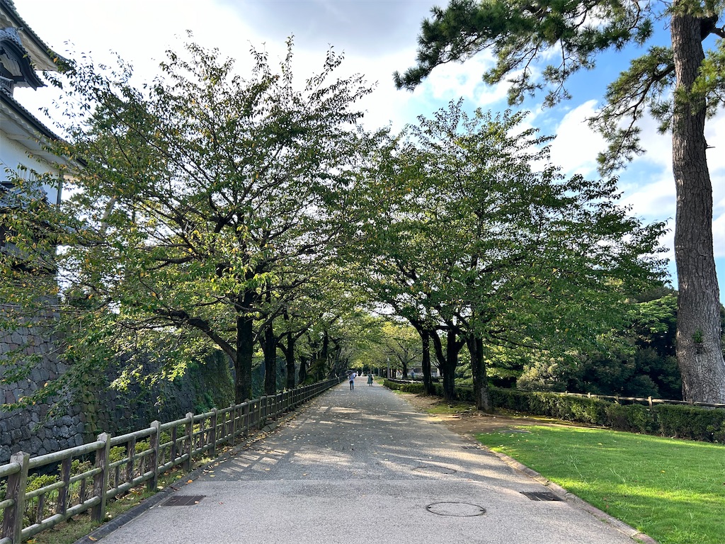 f:id:Shinjuku_3chome:20240925161023j:image