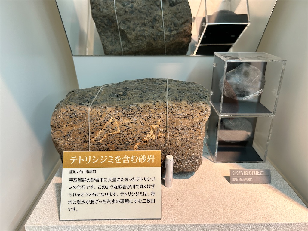 f:id:Shinjuku_3chome:20240927171108j:image f:id:Shinjuku_3chome:20240927171108j:image