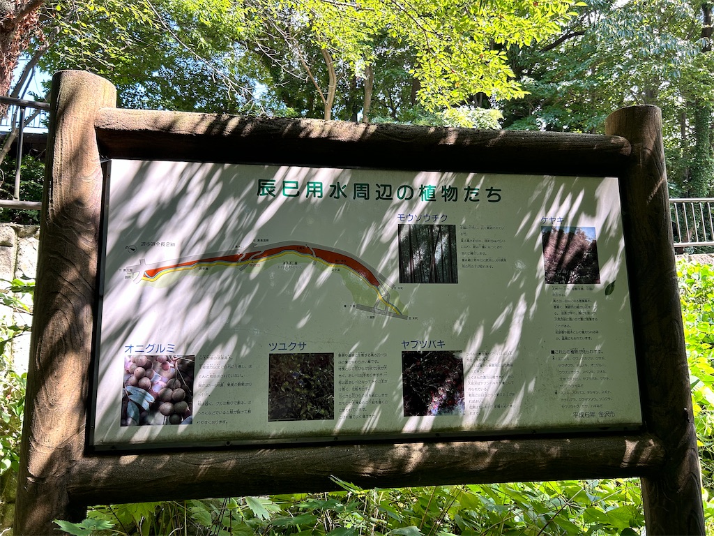 f:id:Shinjuku_3chome:20240927185057j:image f:id:Shinjuku_3chome:20240927185057j:image