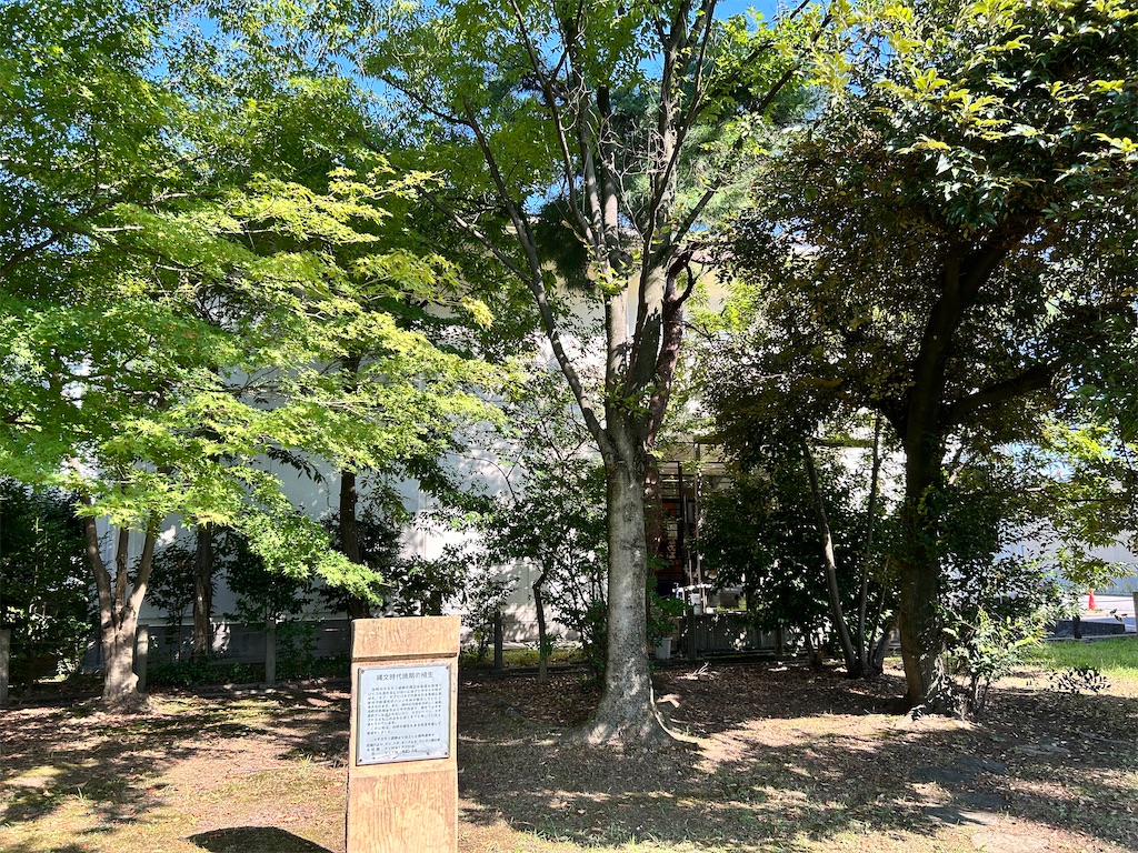 f:id:Shinjuku_3chome:20240928101609j:image f:id:Shinjuku_3chome:20240928101609j:image