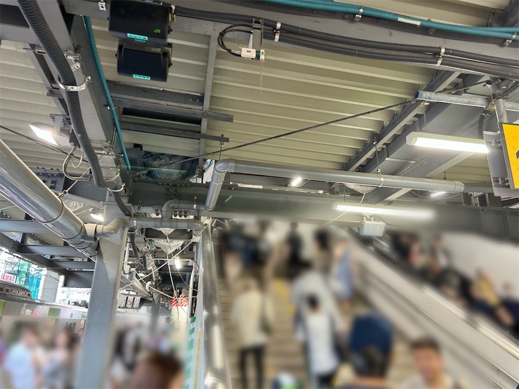 f:id:Shinjuku_3chome:20241009074730j:image