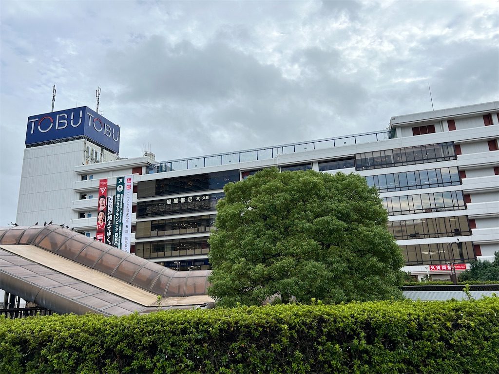 f:id:Shinjuku_3chome:20241103234532j:image