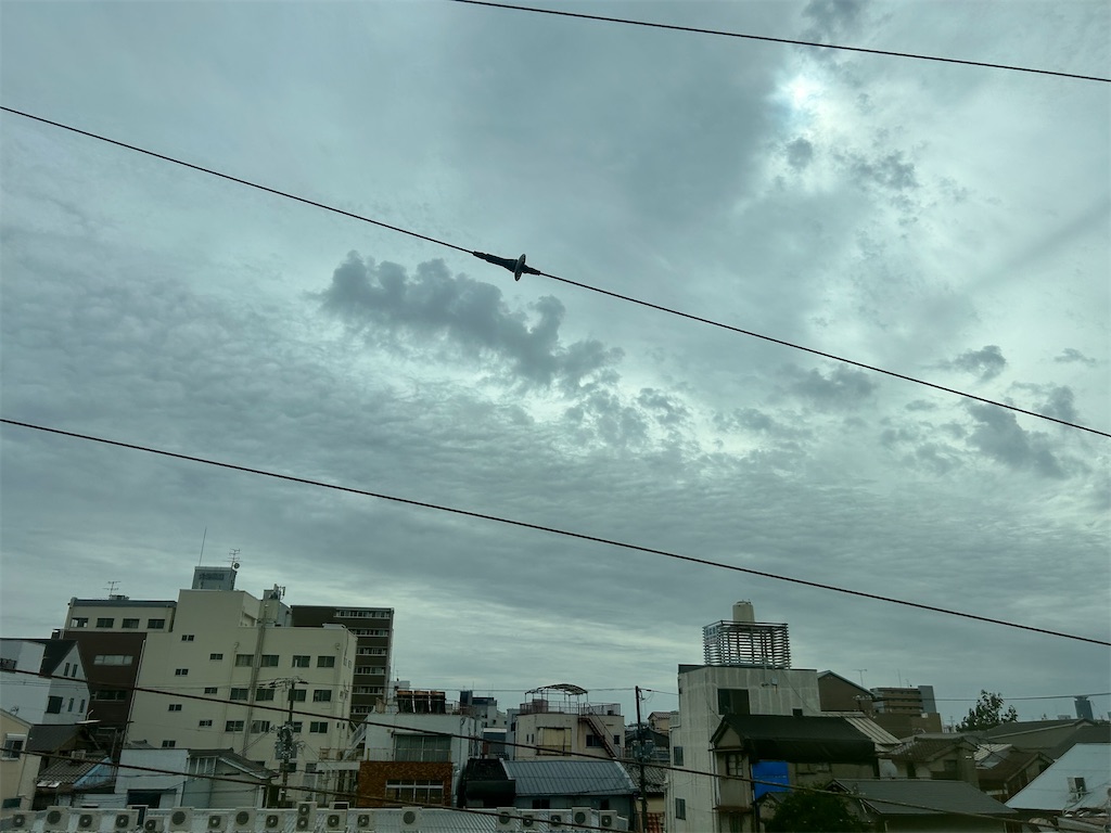 f:id:Shinjuku_3chome:20241106114809j:image f:id:Shinjuku_3chome:20241106114809j:image