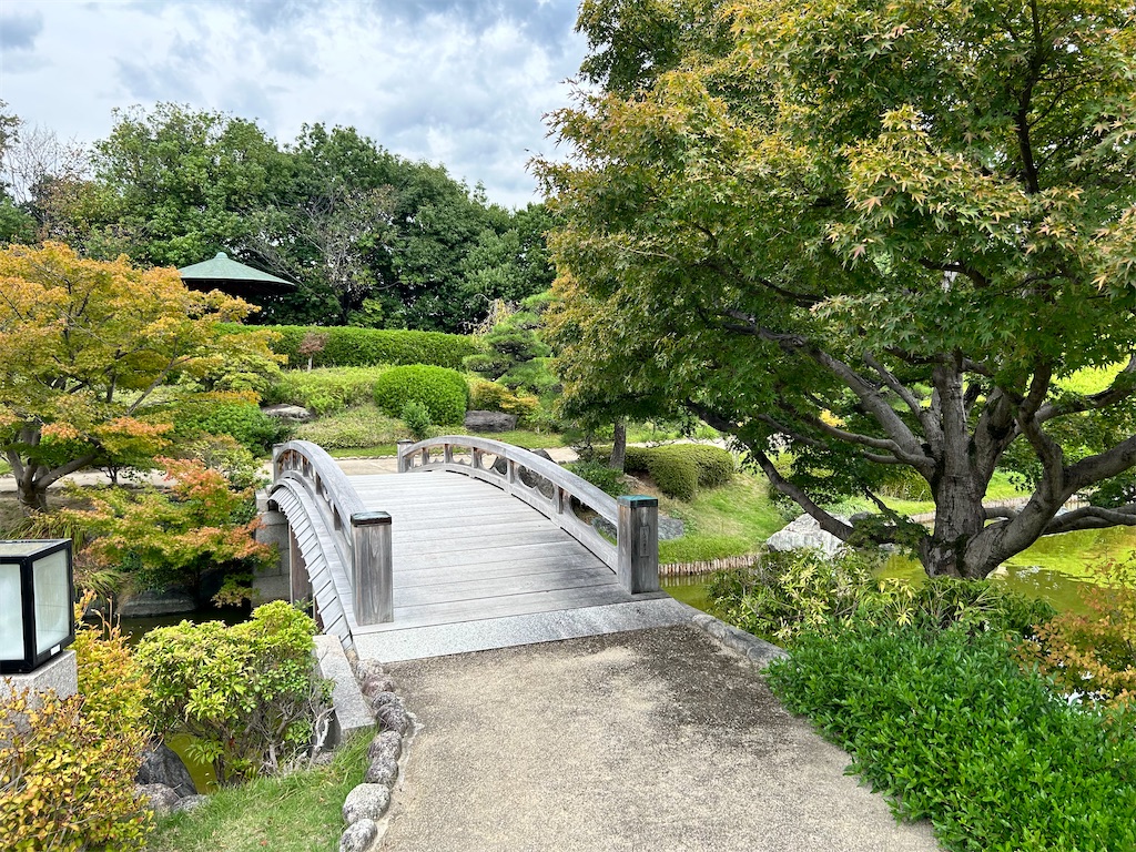 f:id:Shinjuku_3chome:20241107153630j:image f:id:Shinjuku_3chome:20241107153630j:image