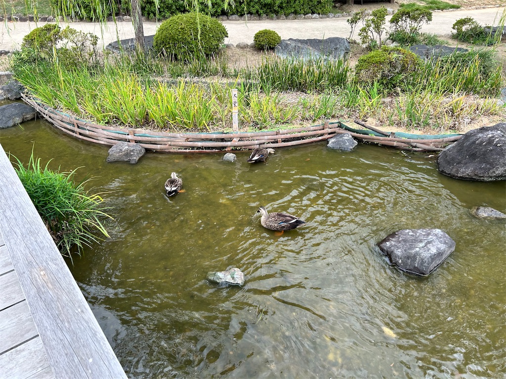 f:id:Shinjuku_3chome:20241107154417j:image f:id:Shinjuku_3chome:20241107154417j:image