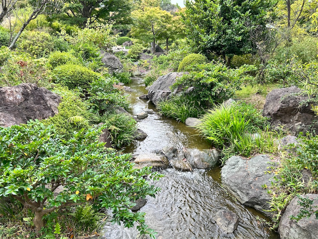 f:id:Shinjuku_3chome:20241107155132j:image f:id:Shinjuku_3chome:20241107155132j:image