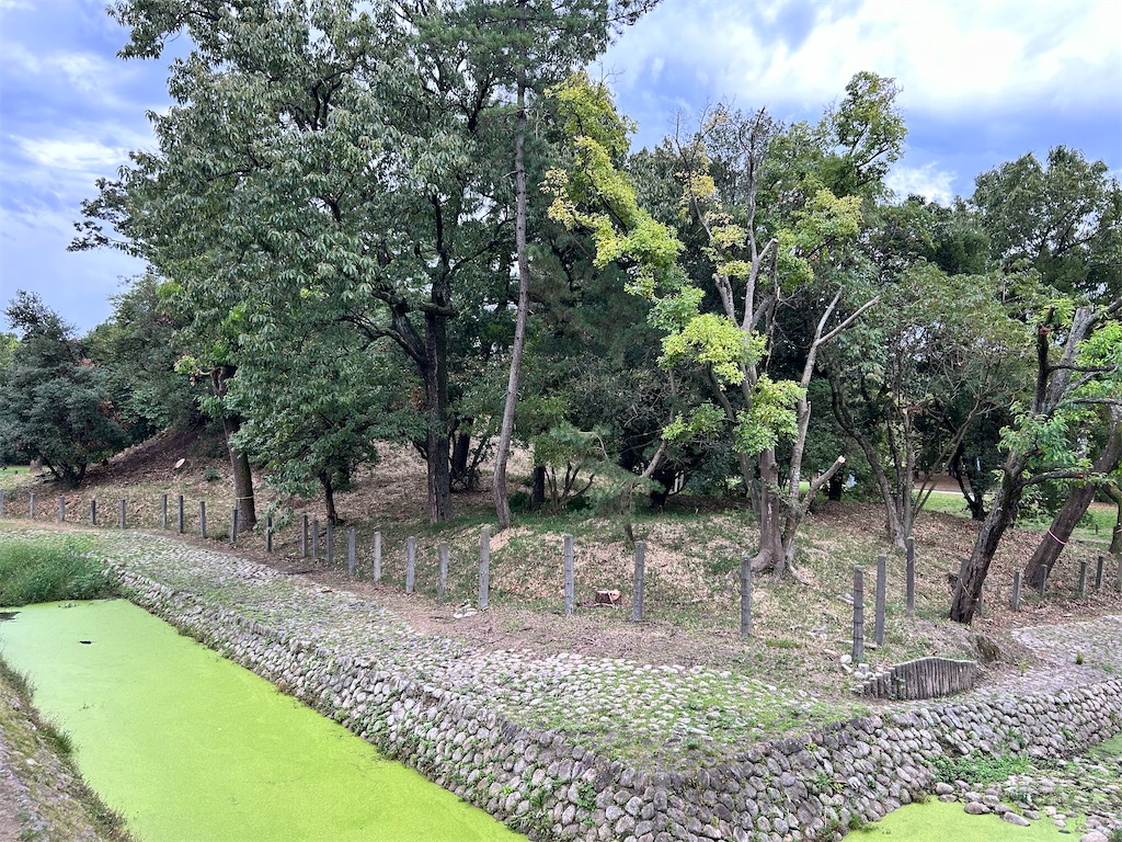 f:id:Shinjuku_3chome:20241107162121j:image f:id:Shinjuku_3chome:20241107162121j:image