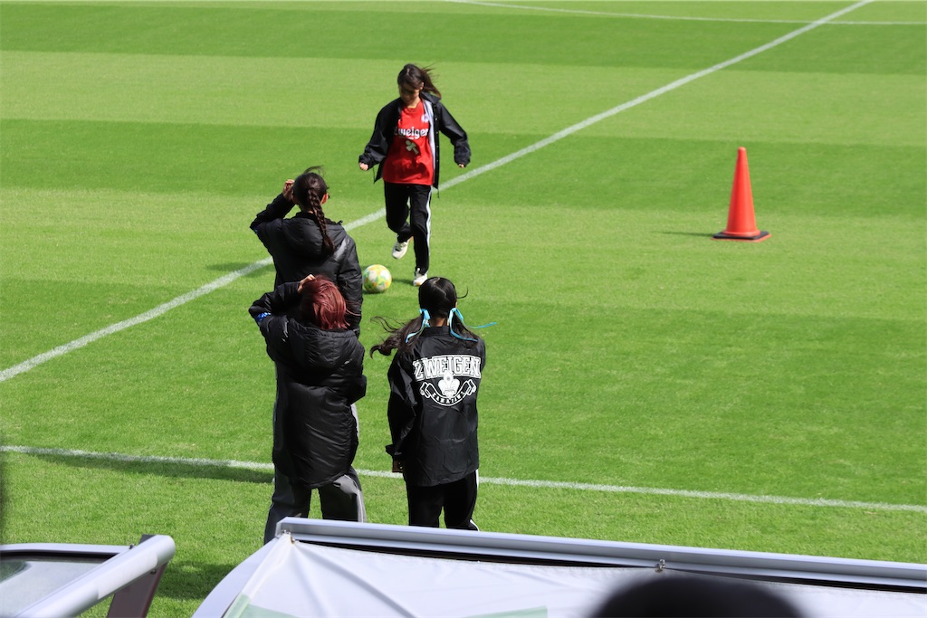 f:id:Shinjuku_3chome:20241114022012j:image