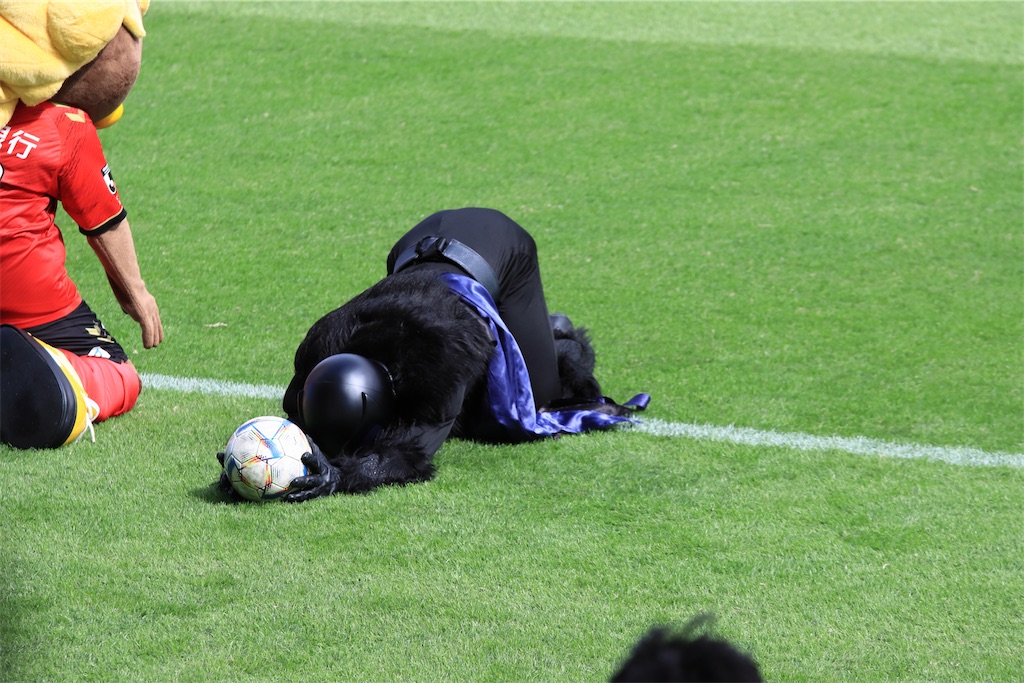 f:id:Shinjuku_3chome:20241114022552j:image