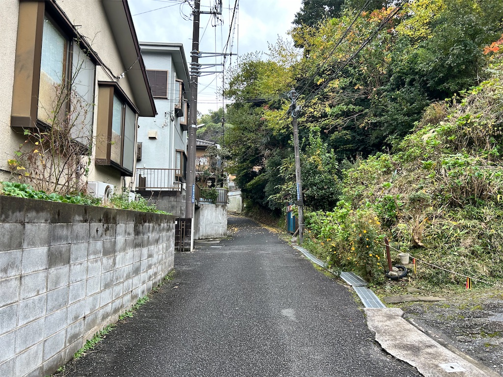 f:id:Shinjuku_3chome:20241121132820j:image