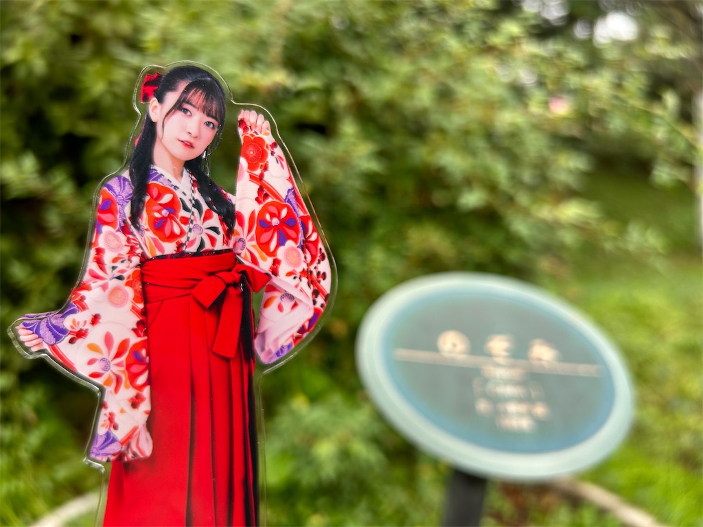 f:id:Shinjuku_3chome:20241121163331j:image