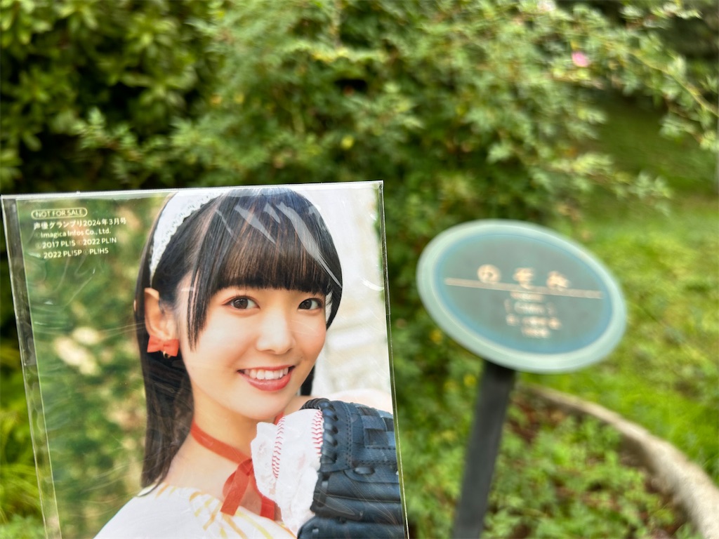 f:id:Shinjuku_3chome:20241121163335j:image