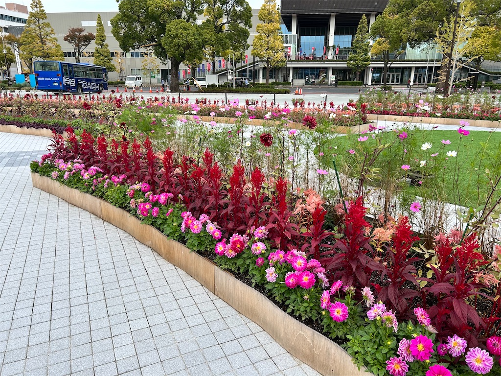 f:id:Shinjuku_3chome:20241122140100j:image