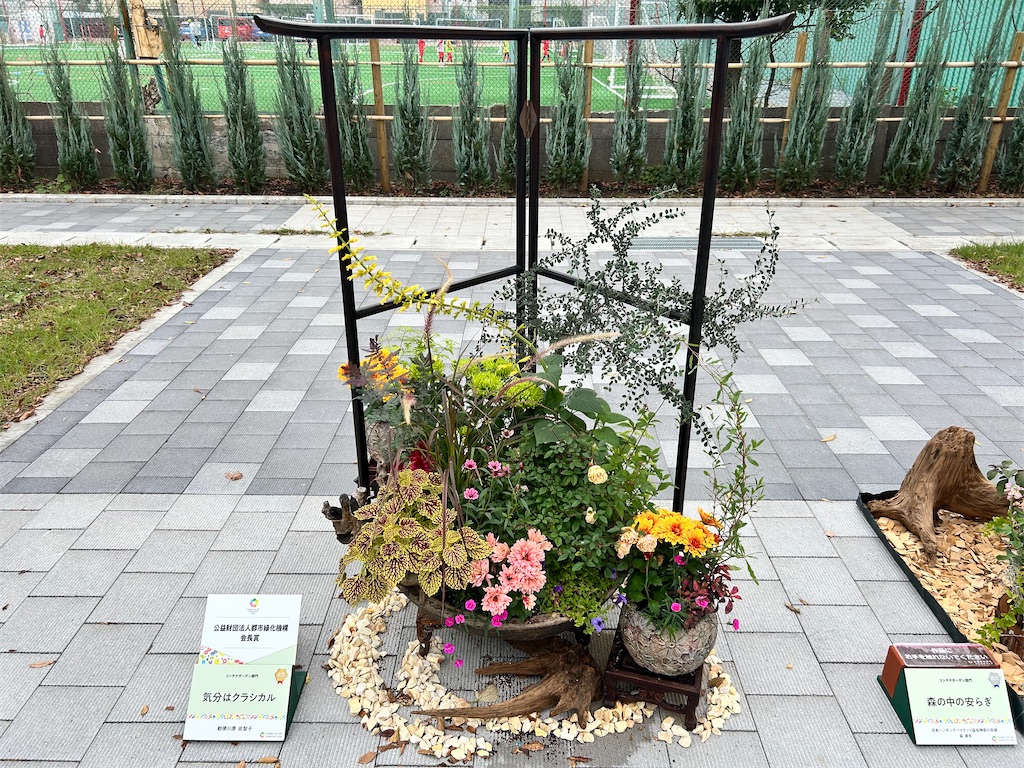 f:id:Shinjuku_3chome:20241122232347j:image