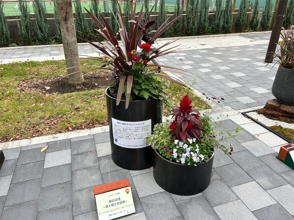 f:id:Shinjuku_3chome:20241122232731j:image