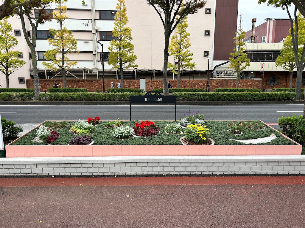 f:id:Shinjuku_3chome:20241123000229j:image