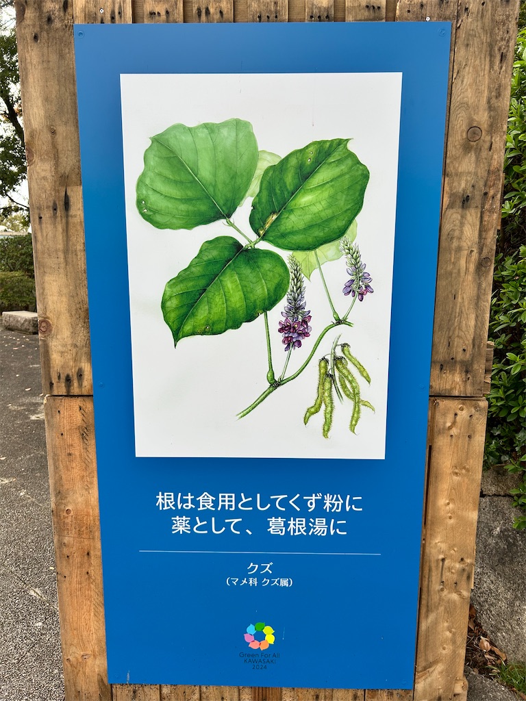 f:id:Shinjuku_3chome:20241128114440j:image