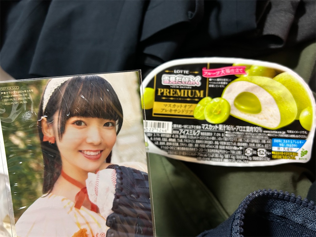 f:id:Shinjuku_3chome:20241128161128j:image