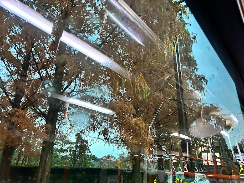 f:id:Shinjuku_3chome:20241205151634j:image f:id:Shinjuku_3chome:20241205151634j:image