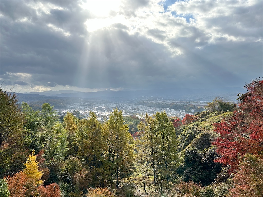 f:id:Shinjuku_3chome:20241206004814j:image