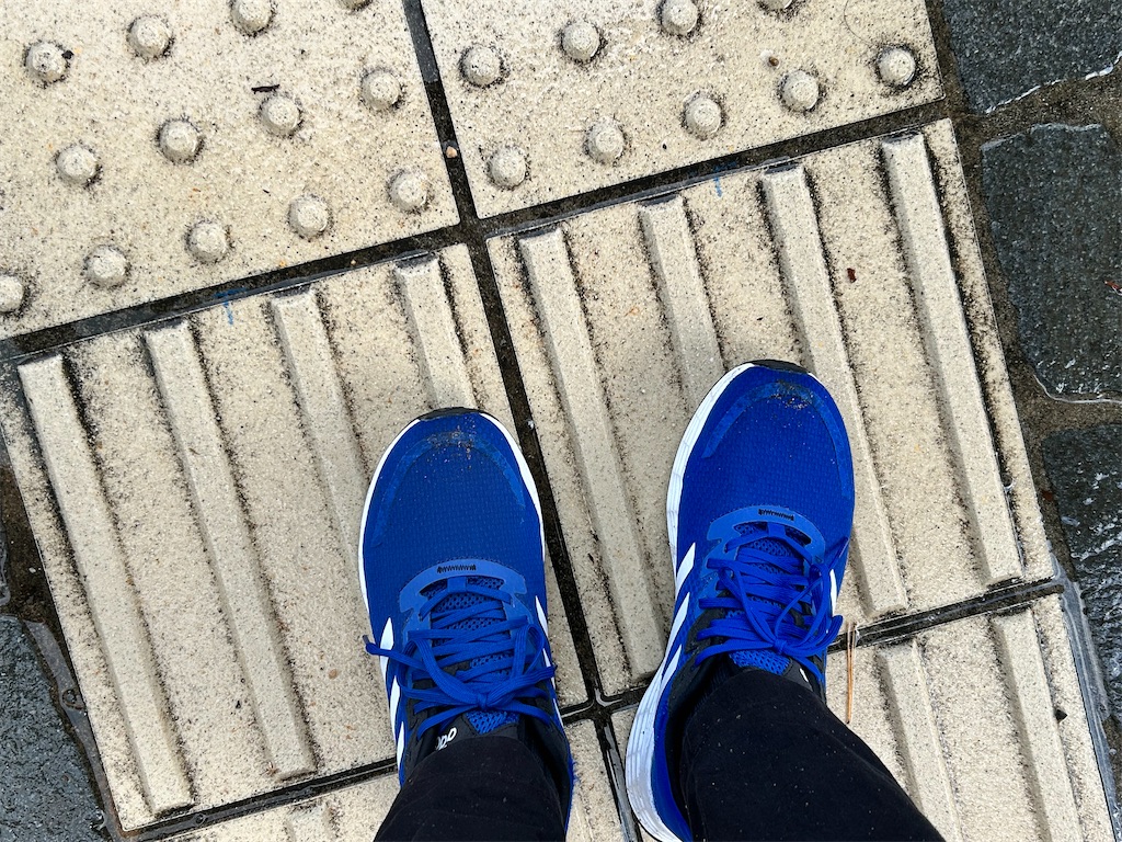 f:id:Shinjuku_3chome:20241208200013j:image