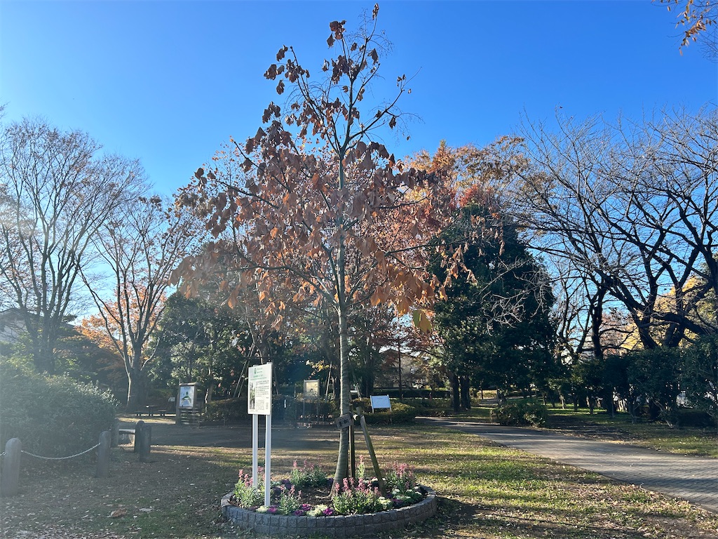 f:id:Shinjuku_3chome:20241216213024j:image f:id:Shinjuku_3chome:20241216213024j:image