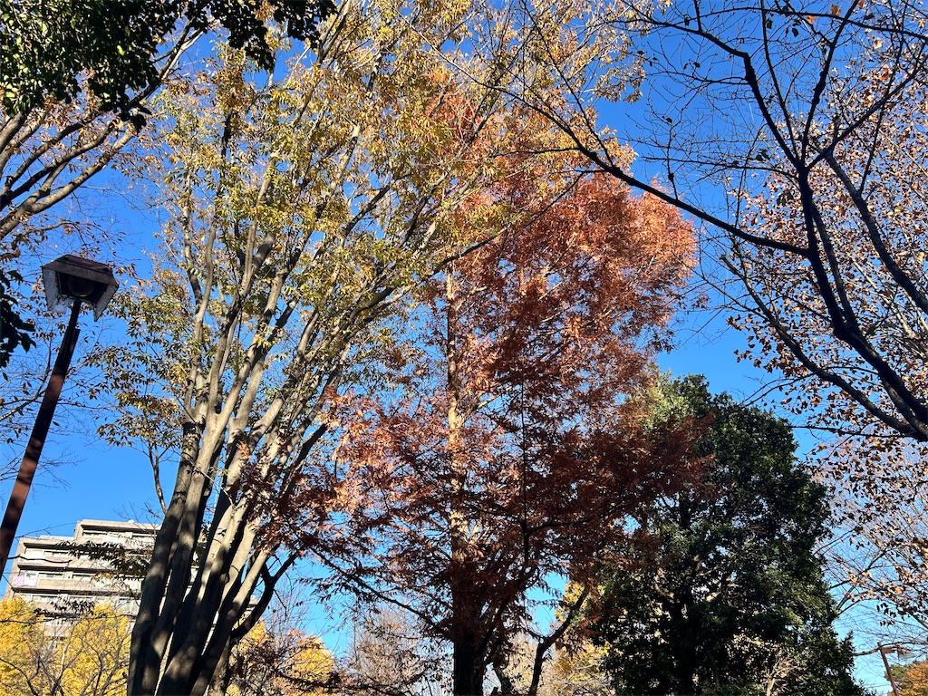 f:id:Shinjuku_3chome:20241216214043j:image f:id:Shinjuku_3chome:20241216214043j:image