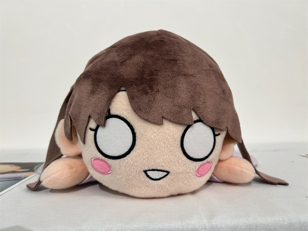 f:id:Shinjuku_3chome:20250106012238j:image
