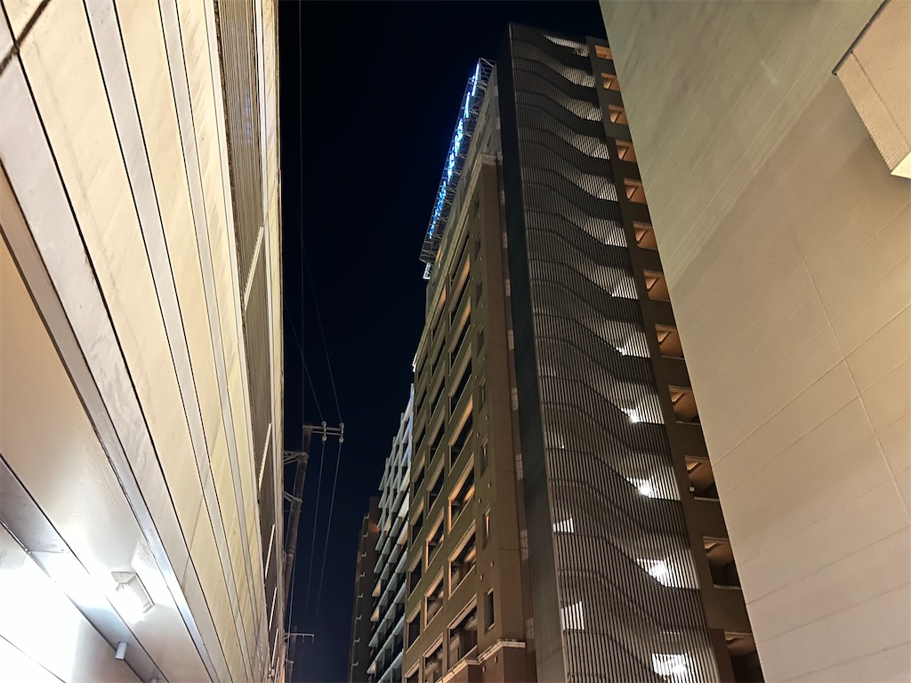 f:id:Shinjuku_3chome:20250115082231j:image