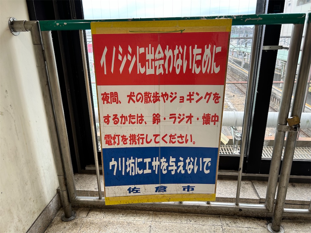 f:id:Shinjuku_3chome:20250307144049j:image f:id:Shinjuku_3chome:20250307144049j:image