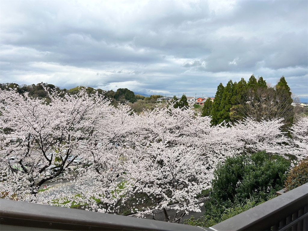 f:id:Shinjuku_3chome:20250331074029j:image f:id:Shinjuku_3chome:20250331074029j:image