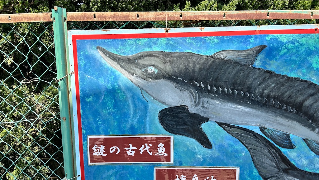 f:id:Shinjuku_3chome:20250430144352j:image