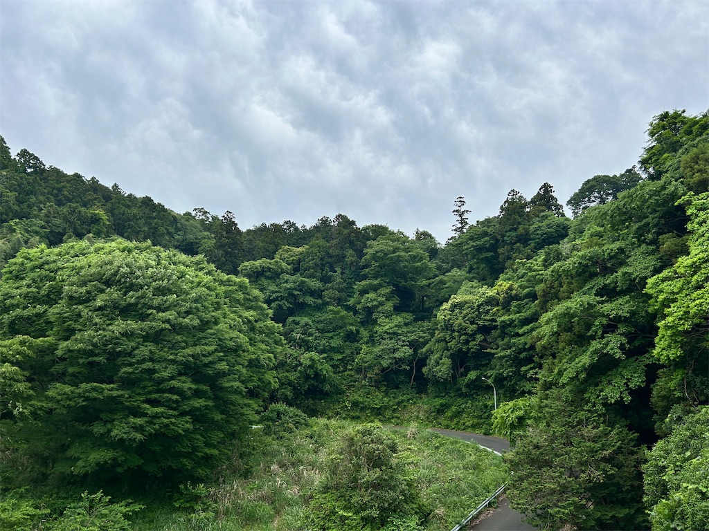 f:id:Shinjuku_3chome:20250519014438j:image f:id:Shinjuku_3chome:20250519014438j:image