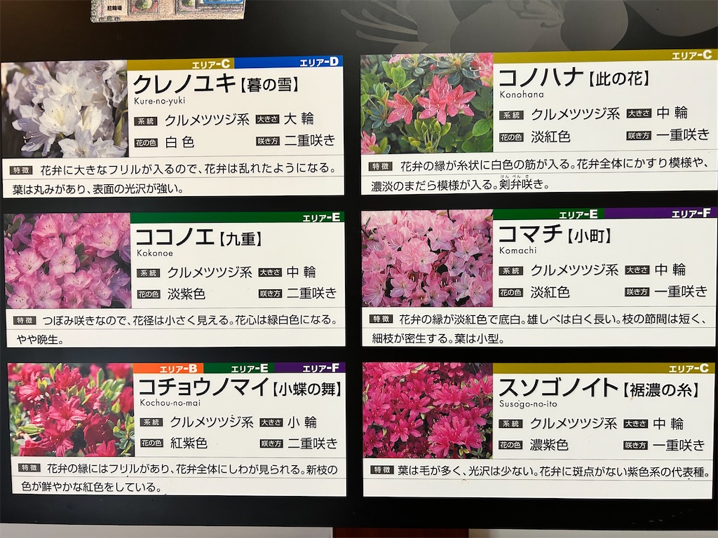 f:id:Shinjuku_3chome:20250526183621j:image