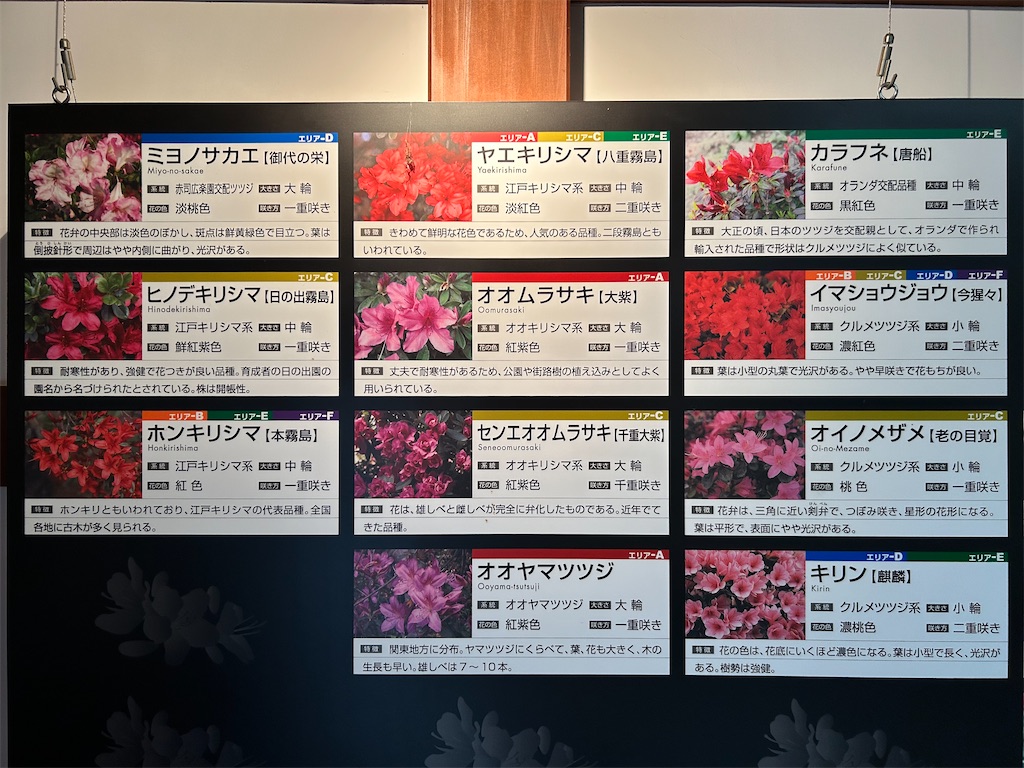 f:id:Shinjuku_3chome:20250526183624j:image