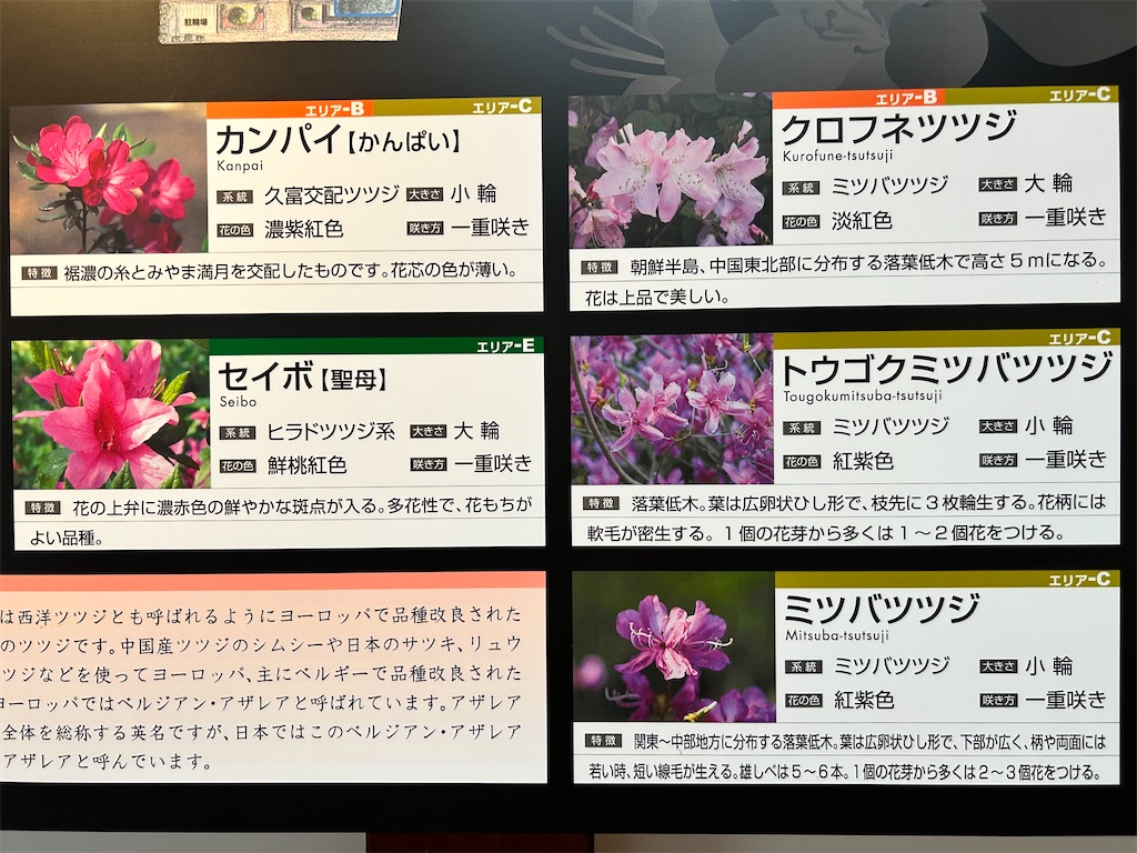 f:id:Shinjuku_3chome:20250526183628j:image
