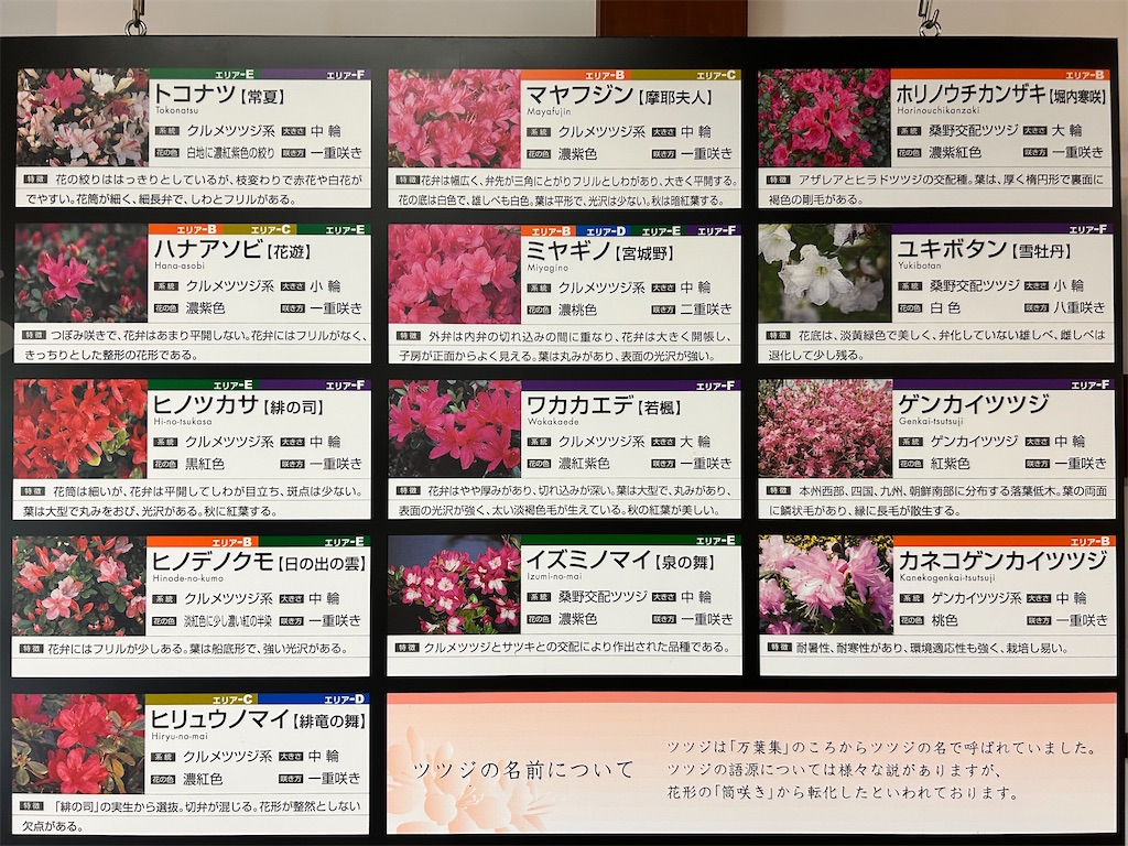 f:id:Shinjuku_3chome:20250526183631j:image