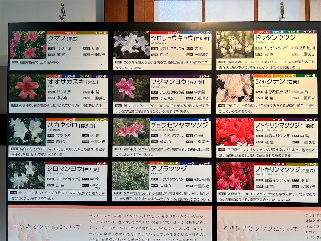 f:id:Shinjuku_3chome:20250526183634j:image