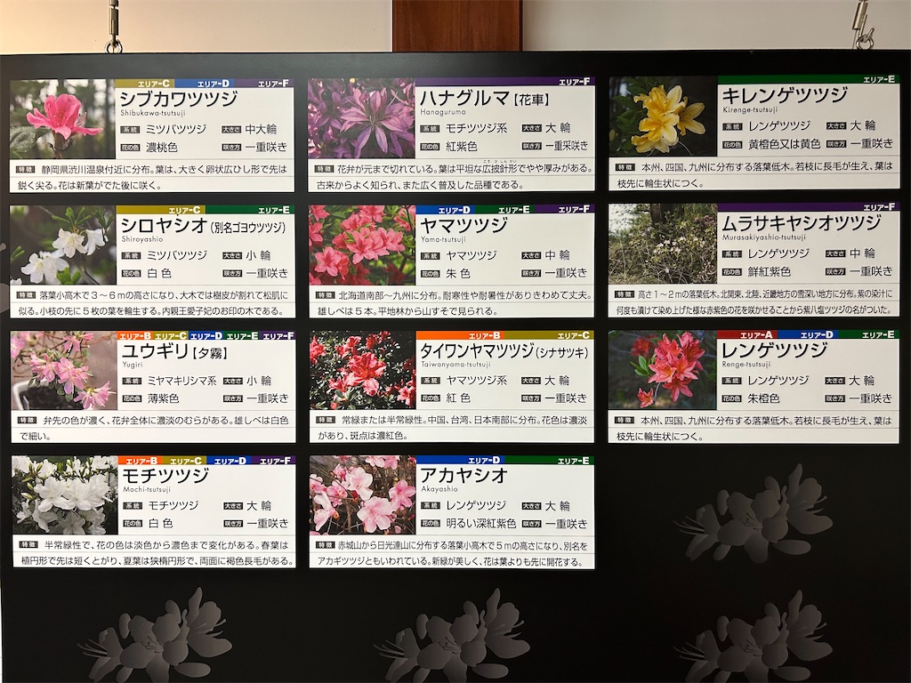 f:id:Shinjuku_3chome:20250526183638j:image