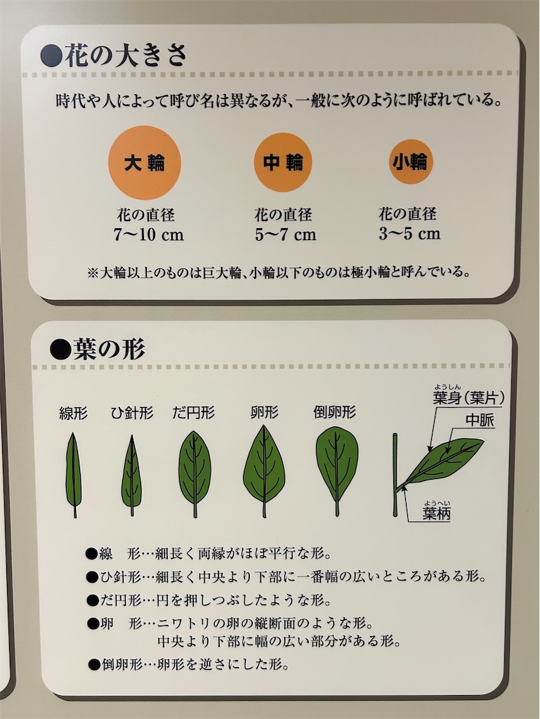 f:id:Shinjuku_3chome:20250526190857j:image