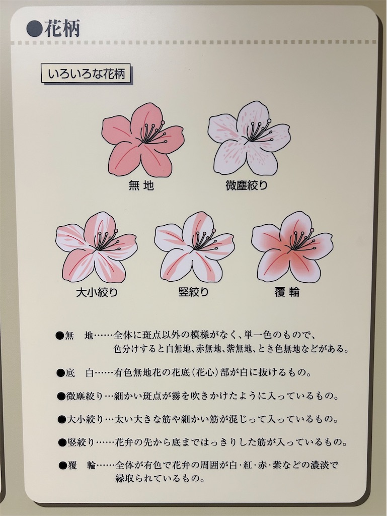 f:id:Shinjuku_3chome:20250526190903j:image