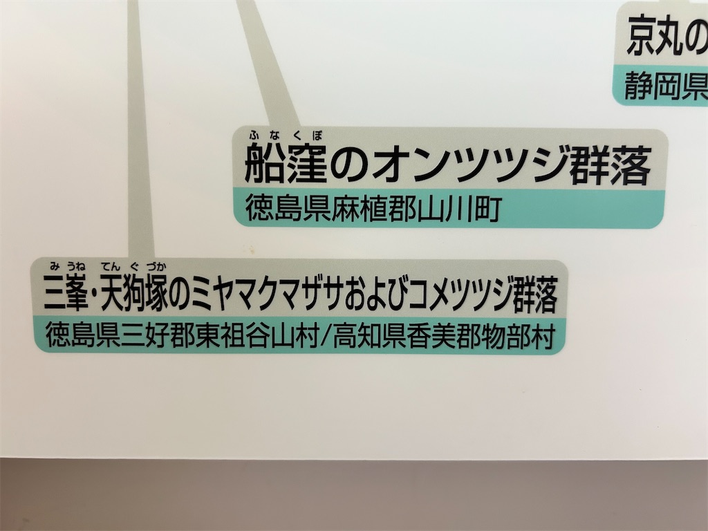 f:id:Shinjuku_3chome:20250526220852j:image